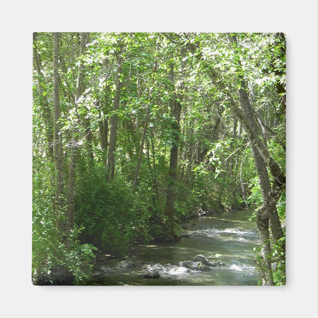 Big Creek in the Summer Time..... Magnet (Front)