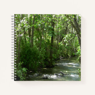 Big Creek in the Summer Time..... Notebook