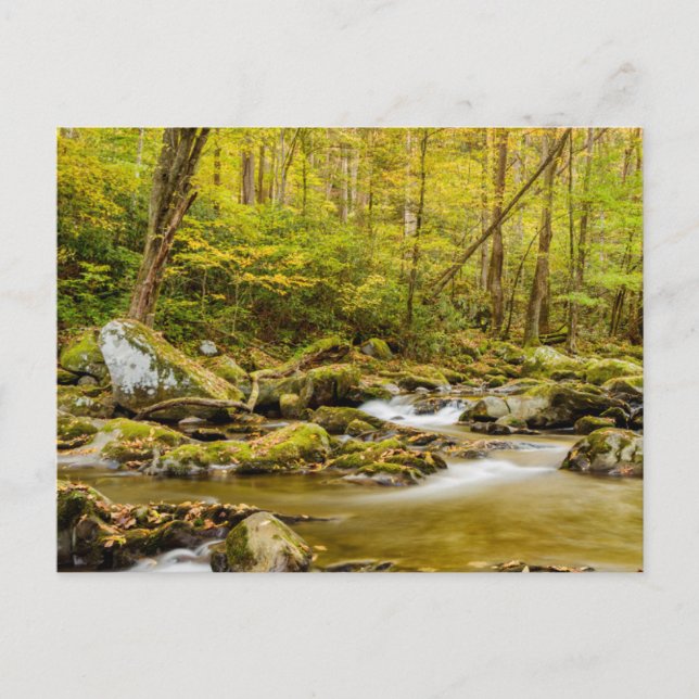 Big Creek | North Carolina Postcard (Front)