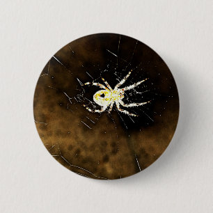 Big Creepy Spider on it's Web 6 Cm Round Badge