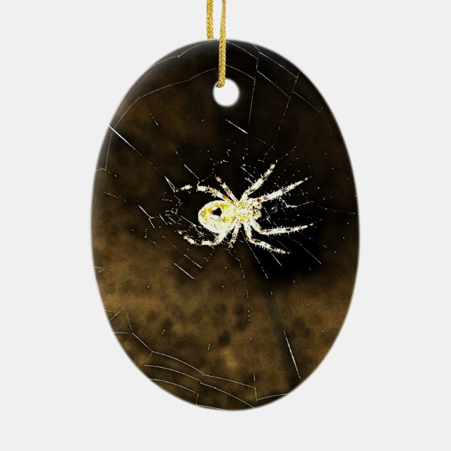 Big Creepy Spider on it's Web Ceramic Ornament (Back)