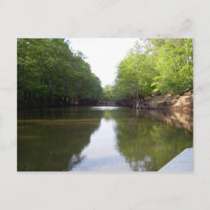 Big Cypress Bayou Postcard