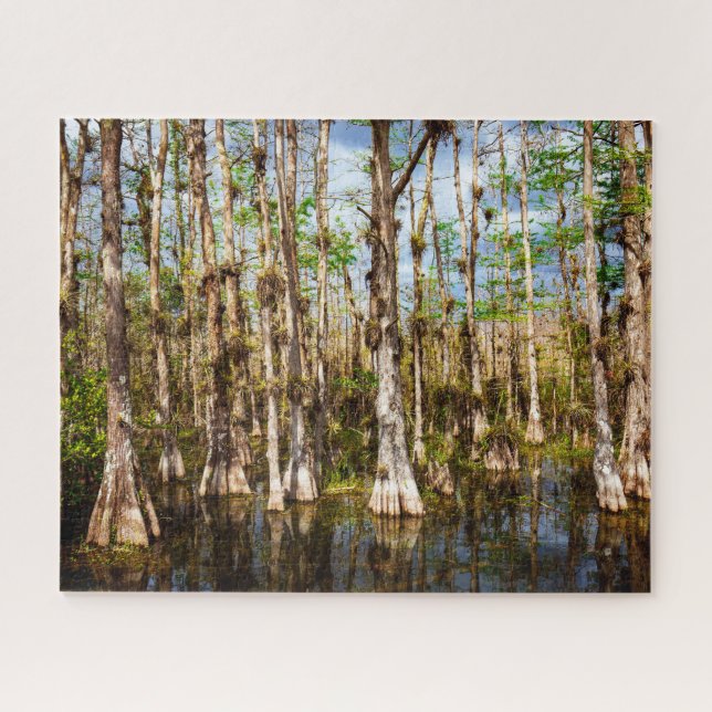 Big Cypress Preserve Jigsaw Puzzle (Horizontal)