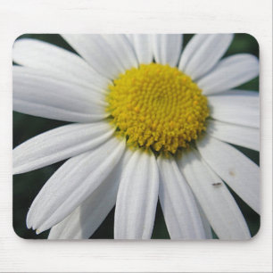 Big Daisy Mouse Pad