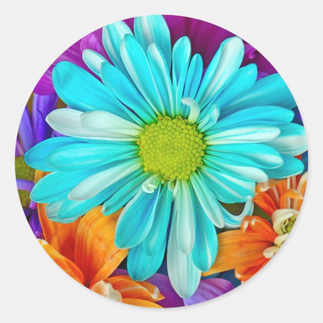 Big Daisy Pattern Classic Round Sticker (Front)