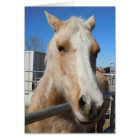 Big Dark Eyes Pretty Golden Palomino Pony - Blank