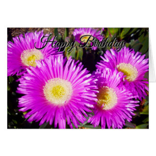 Big Dazzling Purple Daisies, Birthday Card