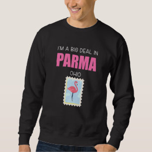 Big Deal Sarcastic Pink Flamingo Parma Ohio Souven Sweatshirt