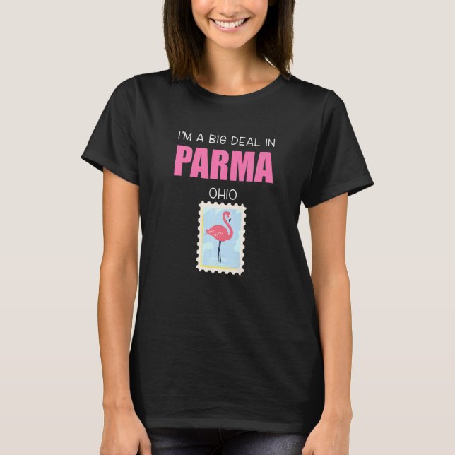 Big Deal Sarcastic Pink Flamingo Parma Ohio Souven T-Shirt (Front)