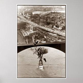 Big Dig Rose Poster
