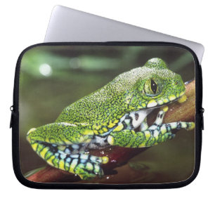 Big Eye Treefrog, Leptopelis vermiculatus, Laptop Sleeve
