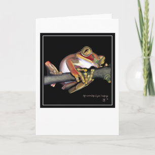Big-Eyed African Tree Frog Card