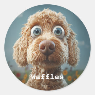 Big-Eyed Australian Labradoodle Classic Round Sticker