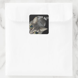 Big eyed curious cat thank you Stickers