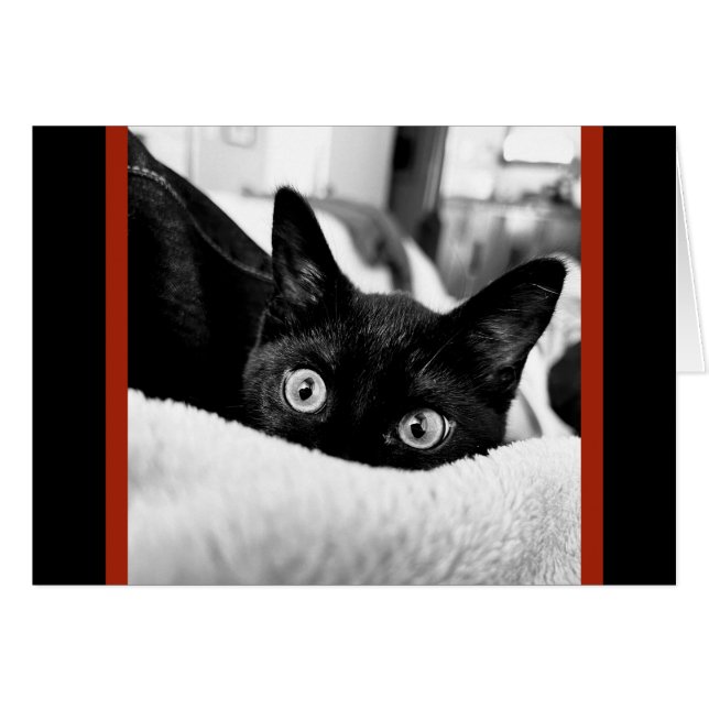 Big-Eyed Kitty, Blank Note Cards (Front Horizontal)