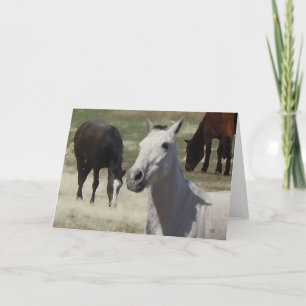 Big Eyes Pretty Little Gray Grey Pony Herd Blank Card