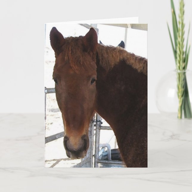 Big Eyes Red Tennessee Walking Horse -  TWH Blank Card (Front)