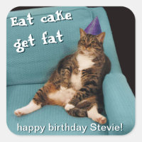 Big Fat Cat Sitting in Chair Purple Birthday Hat