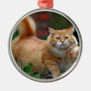 Big Fat Orange Cat Metal Ornament