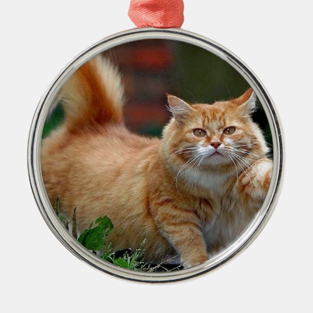 Big Fat Orange Cat Metal Ornament (Front)