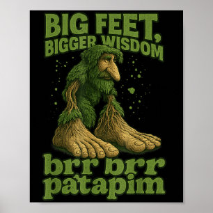 Big Feet Bigger Wisdom Forest Troll Meme Brr Brr P Poster
