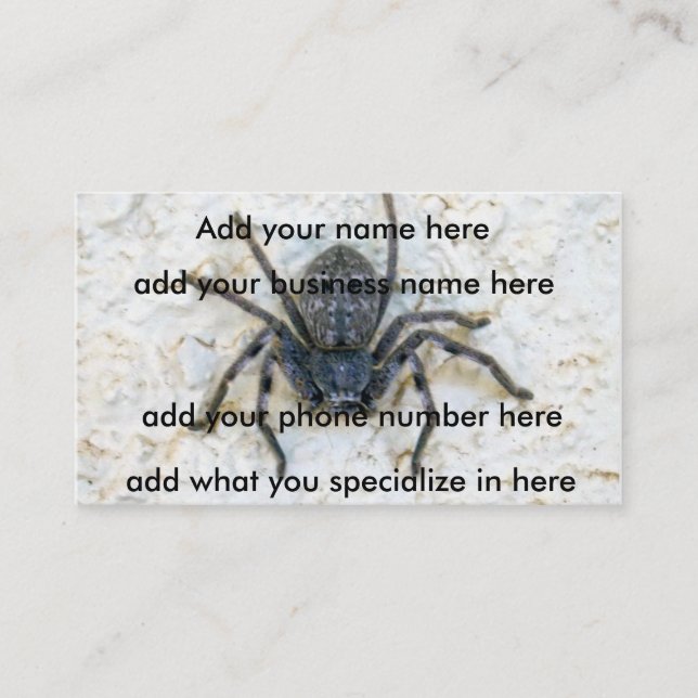 Big  Female Huntsman Spider, Business Card (Front)