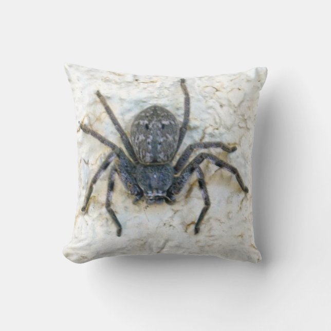 Big Female Huntsman Spider, Cushion (Front)