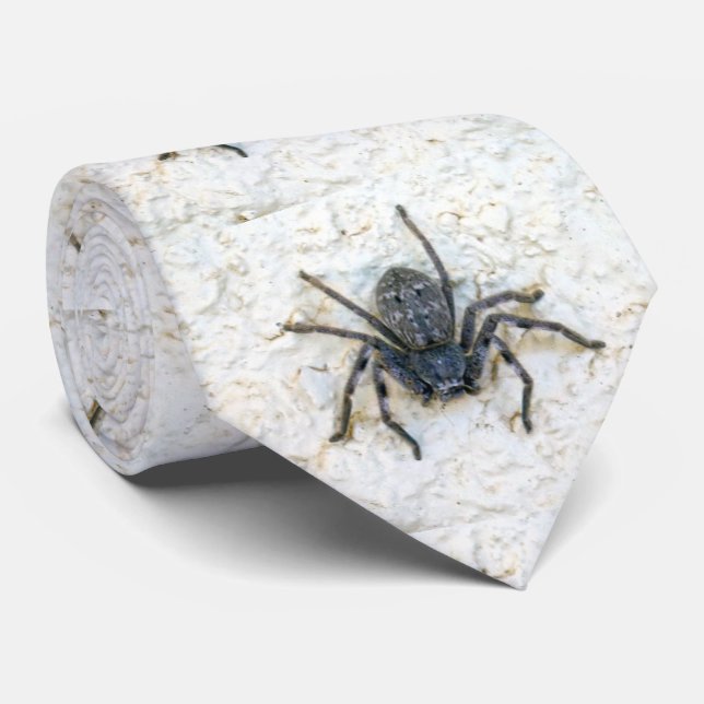 Big Female Huntsman Spider, Neck Tie (Rolled)