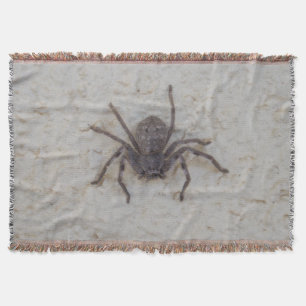 Big Female Huntsman Spider, Throw Blanket