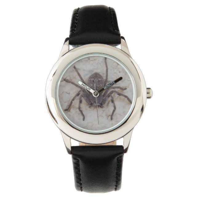 Big Female Huntsman Spider, Watch (Front)