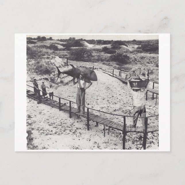 Big fish - invitation postcard (Front)