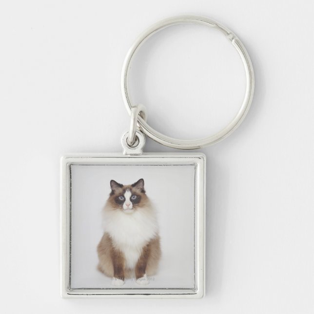Big Furry Cat Key Ring (Front)