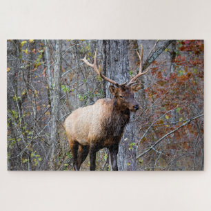 Big Game Hunter - Bull Elk - 20x30 inch Jigsaw Puzzle