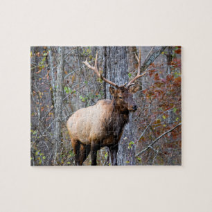 Big Game Hunter - Elk Season - 8x10 inch Jigsaw Puzzle