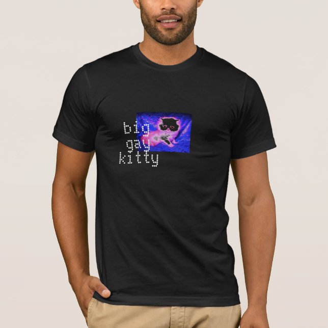 Big Gay Kitty T-Shirt (Front)