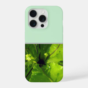 Big Green Fern Leaves, iPhone 15 Pro Case