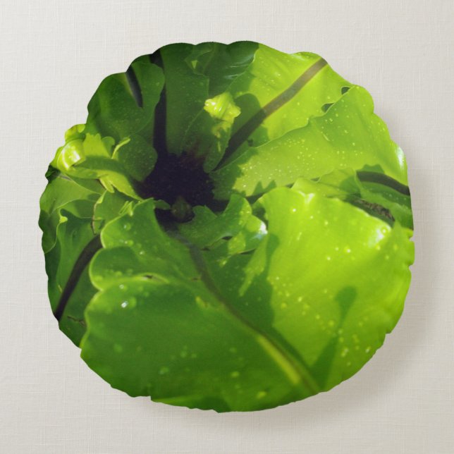 Big Green Fern Leaves, Round Cushion (Front)