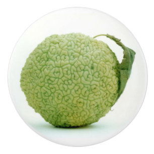 Big Green Hedgeapple Ceramic Knob
