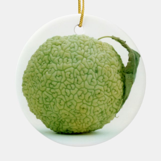 Big Green Hedgeapple Osage Orange Ceramic Tree Decoration (Front)
