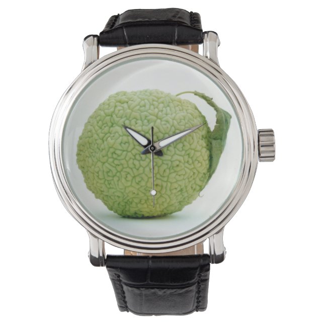 Big Green Hedgeapple Watch (Front)