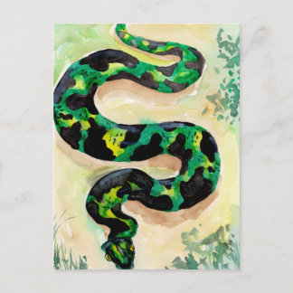 Big Green Snake Postcard