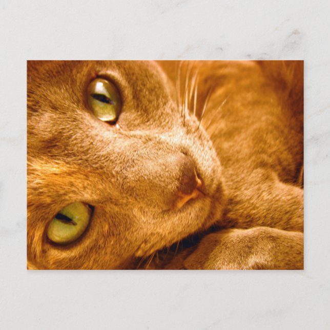 Big Greens Postcard (Front)