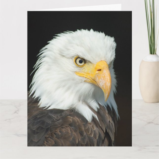 Big Greeting Card - Nature Bird Eagle (Front)