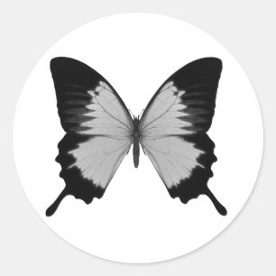 Big Grey & Black Butterfly Classic Round Sticker