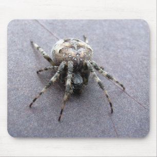 big grey spider mouse pad