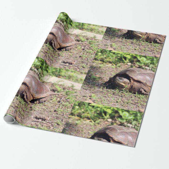 Big guy wrapping paper (Unrolled)