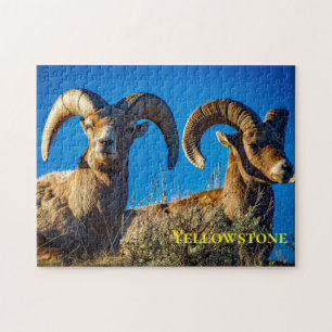 Big Horn Game Puzzle