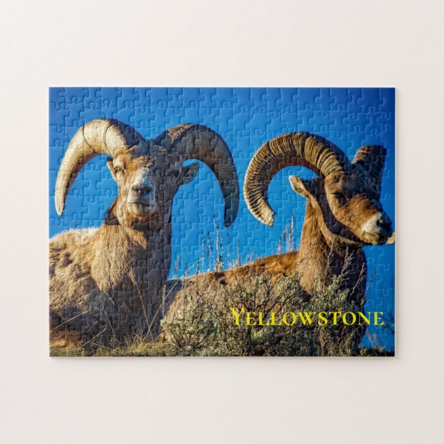 Big Horn Game Puzzle (Horizontal)