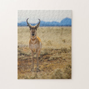 big horn jigsaw puzzle