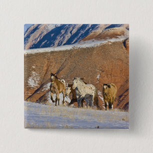 Big Horn Mountains, Horses running 15 Cm Square Badge